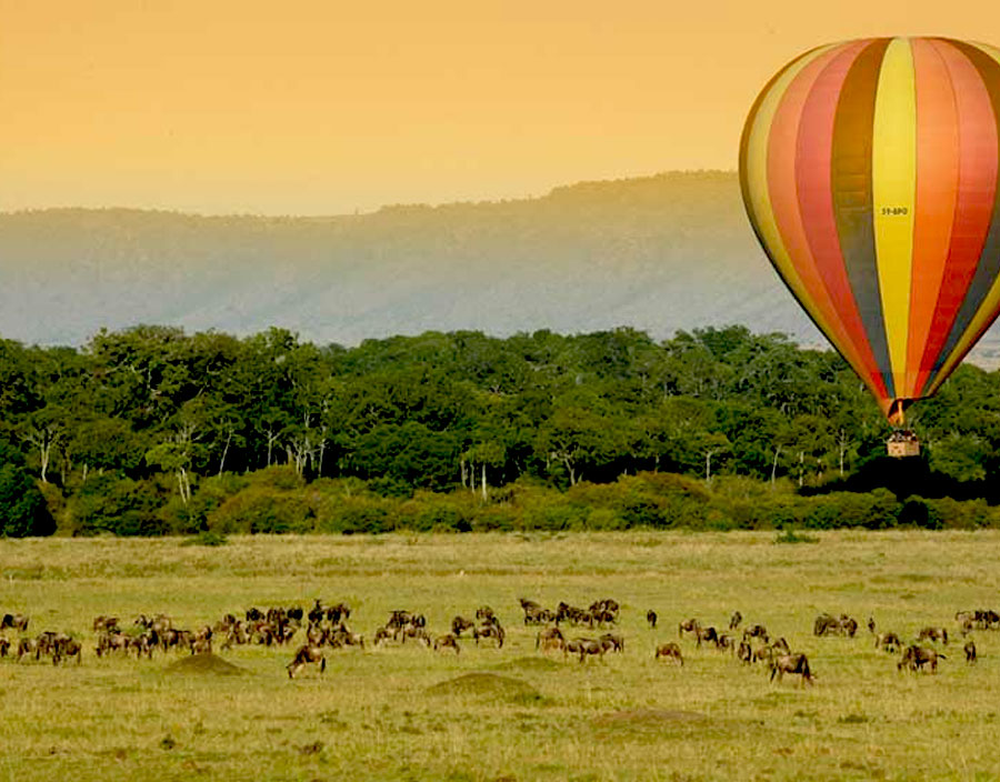 Balloon Safaris